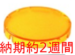 T22RRGB